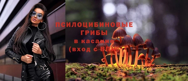 стаф Балабаново