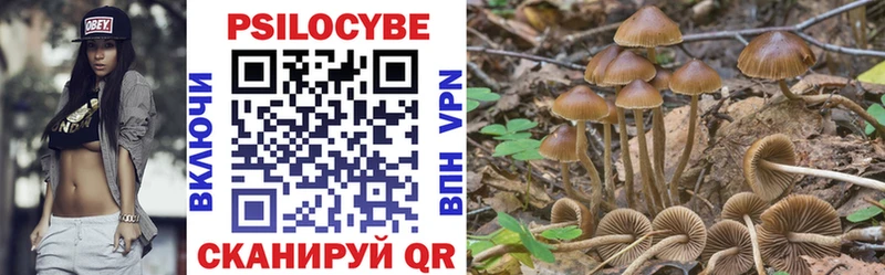 Псилоцибиновые грибы ЛСД  Борисоглебск 